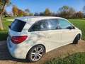 Mercedes-Benz B 180 B 180 CDI BlueEfficiency DPF Weiß - thumbnail 3