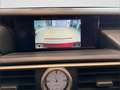 Lexus RC 300h Executive Navigation - thumbnail 15