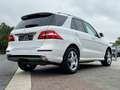 Mercedes-Benz ML 250 CDI BlueTech Amg line Panorama Unfallfrei Totwinke Weiß - thumbnail 21