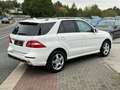 Mercedes-Benz ML 250 CDI BlueTech Amg line Panorama Unfallfrei Totwinke Weiß - thumbnail 33