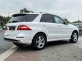 Mercedes-Benz ML 250 CDI BlueTech Amg line Panorama Unfallfrei Totwinke Weiß - thumbnail 29