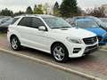 Mercedes-Benz ML 250 CDI BlueTech Amg line Panorama Unfallfrei Totwinke Weiß - thumbnail 12