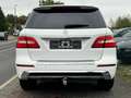 Mercedes-Benz ML 250 CDI BlueTech Amg line Panorama Unfallfrei Totwinke Weiß - thumbnail 17