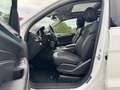 Mercedes-Benz ML 250 CDI BlueTech Amg line Panorama Unfallfrei Totwinke Weiß - thumbnail 14