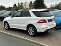 Mercedes-Benz ML 250 CDI BlueTech Amg line Panorama Unfallfrei Totwinke Weiß - thumbnail 13