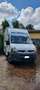 Renault Master Van trasporto Cavalli coibentato Blanco - thumbnail 19