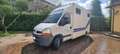 Renault Master Van trasporto Cavalli coibentato Blanco - thumbnail 18