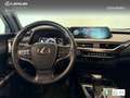 Lexus UX 250h Business 2WD Gris - thumbnail 11