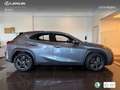 Lexus UX 250h Business 2WD Gris - thumbnail 3