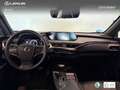 Lexus UX 250h Business 2WD Gris - thumbnail 8