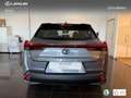 Lexus UX 250h Business 2WD Gris - thumbnail 5