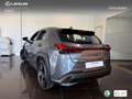 Lexus UX 250h Business 2WD Gris - thumbnail 14