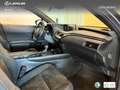 Lexus UX 250h Business 2WD Gris - thumbnail 6