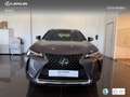 Lexus UX 250h Business 2WD Gris - thumbnail 4