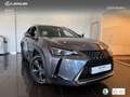 Lexus UX 250h Business 2WD Gris - thumbnail 12