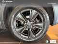 Lexus UX 250h Business 2WD Gris - thumbnail 10