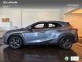 Lexus UX 250h Business 2WD Gris - thumbnail 13