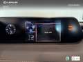 Lexus UX 250h Business 2WD Gris - thumbnail 19
