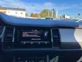 Skoda Kodiaq 2,0 TDI SCR 4x4 Style DSG | AHK Blau - thumbnail 23