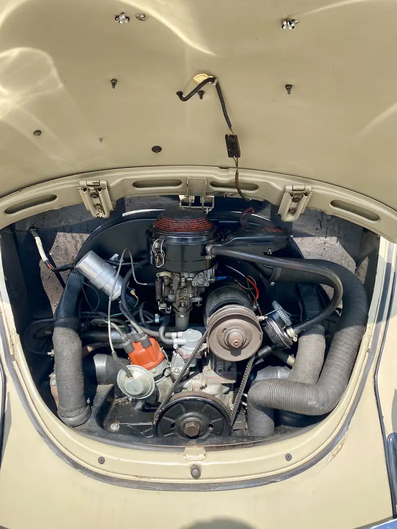 Volkswagen Coccinelle - 2