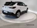 Opel Grandland 1.2 Turbo 12V 130 CV Start&Stop Ultimate Bianco - thumbnail 6