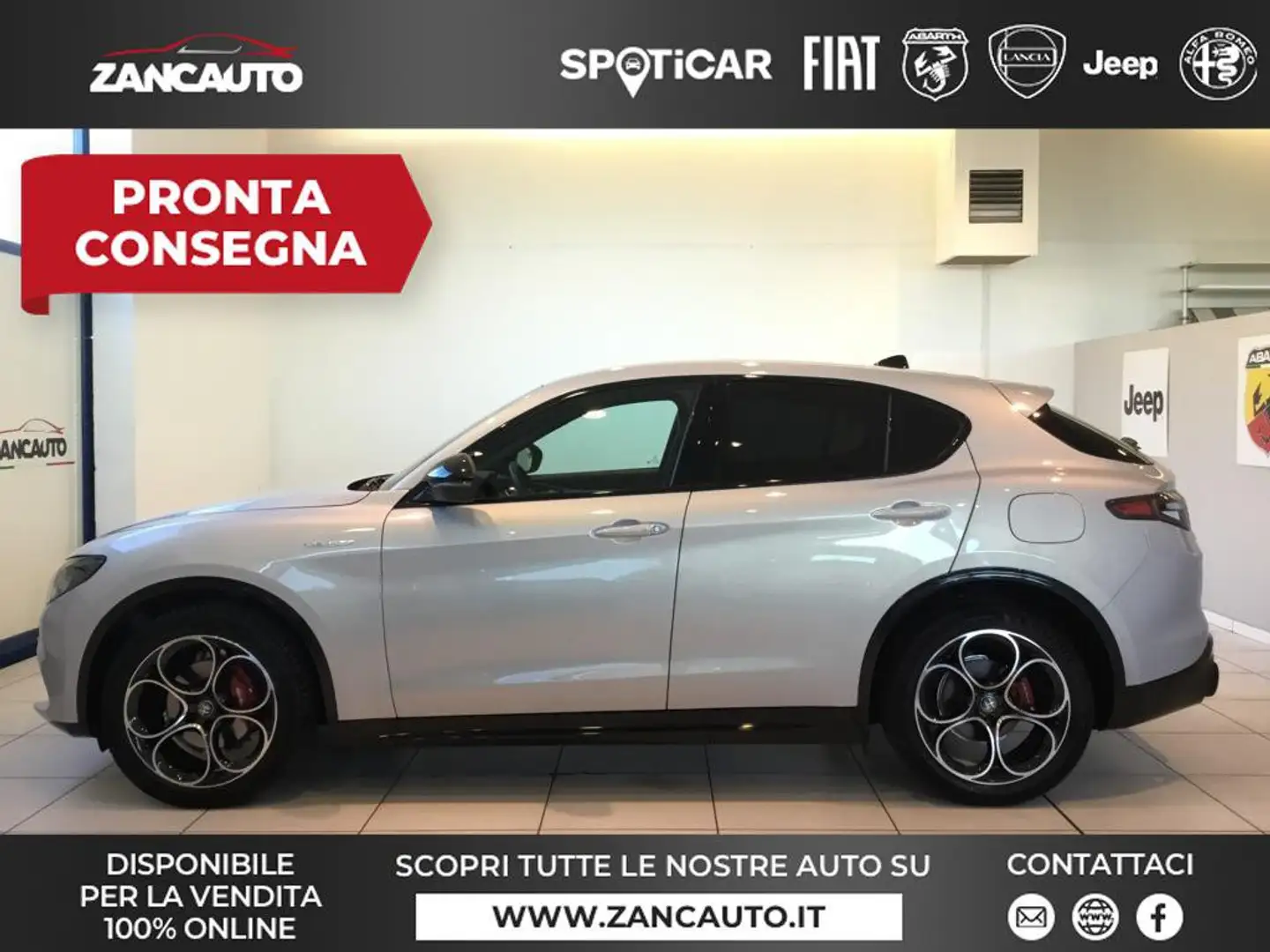 Alfa Romeo Stelvio Stelvio 2.2 Turbodiesel 210 CV AT8 Q4 Veloce MY24 Gris - 1
