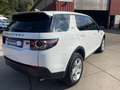 Land Rover Discovery Sport 2,0 TD Basis FWD/Navi/Kamera/Kli Weiß - thumbnail 3