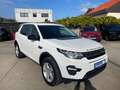 Land Rover Discovery Sport 2,0 TD Basis FWD/Navi/Kamera/Kli Weiß - thumbnail 1
