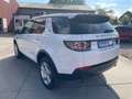 Land Rover Discovery Sport 2,0 TD Basis FWD/Navi/Kamera/Kli Weiß - thumbnail 4
