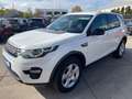 Land Rover Discovery Sport 2,0 TD Basis FWD/Navi/Kamera/Kli Weiß - thumbnail 6