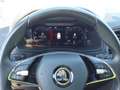 Skoda Karoq 1.6TDI Ambition Gris - thumbnail 12