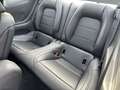 Ford Mustang Fastback GT 5.0 V8 GT Styling-Paket LED Grigio - thumbnail 10