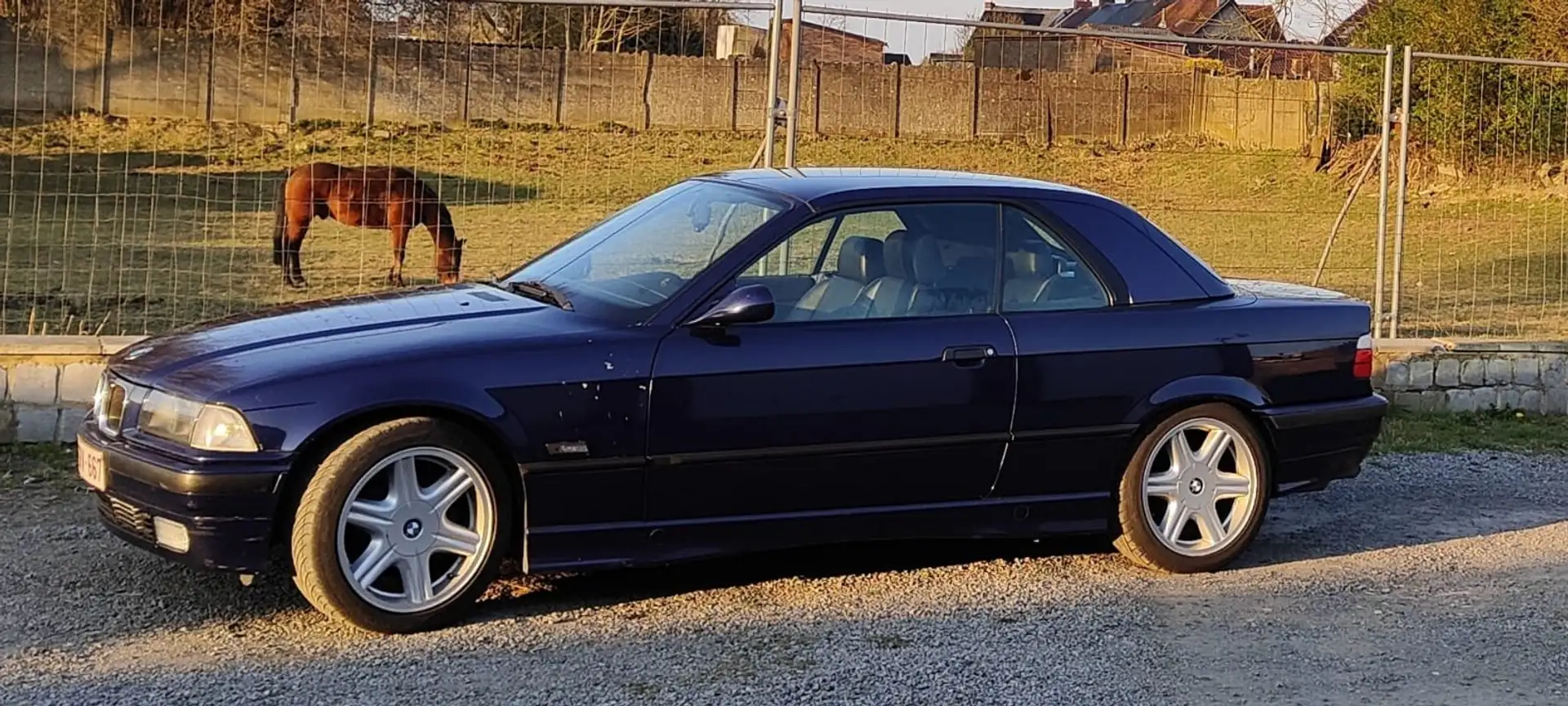 BMW 325 Blauw - 2