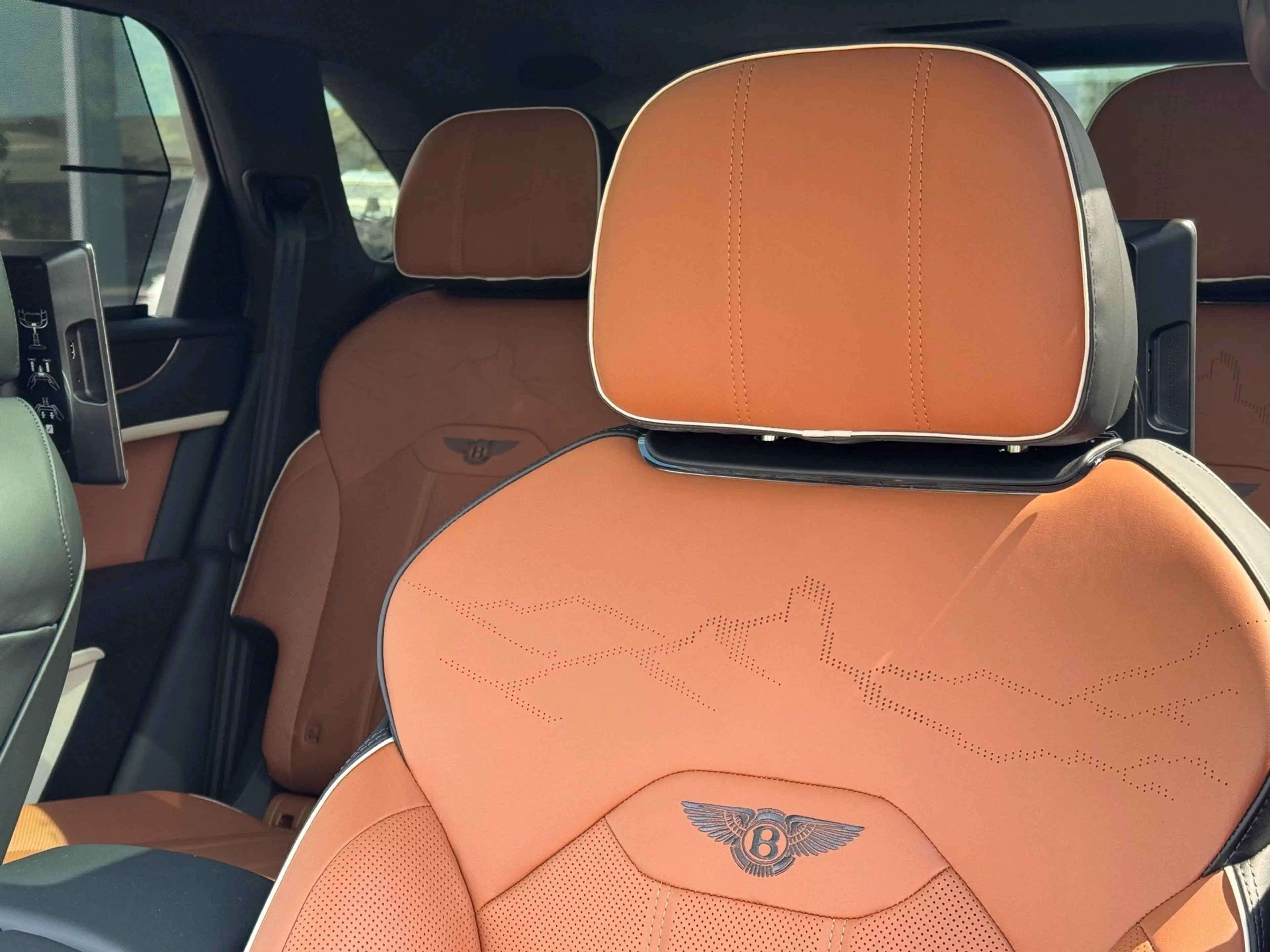 Bentley Bentayga Hybrid Artenara *Special Edition* — photo 13