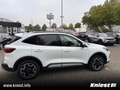 Ford Kuga Hybrid Active X 2.5 Duratec FHEV LED, Winterp., Na Blanc - thumbnail 6