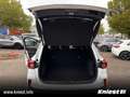 Ford Kuga Hybrid Active X 2.5 Duratec FHEV LED, Winterp., Na Blanc - thumbnail 12