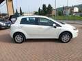 Fiat Punto Punto 5p 1.4 natural power Easy 70cv Bianco - thumbnail 4