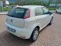 Fiat Punto Punto 5p 1.4 natural power Easy 70cv Bianco - thumbnail 5