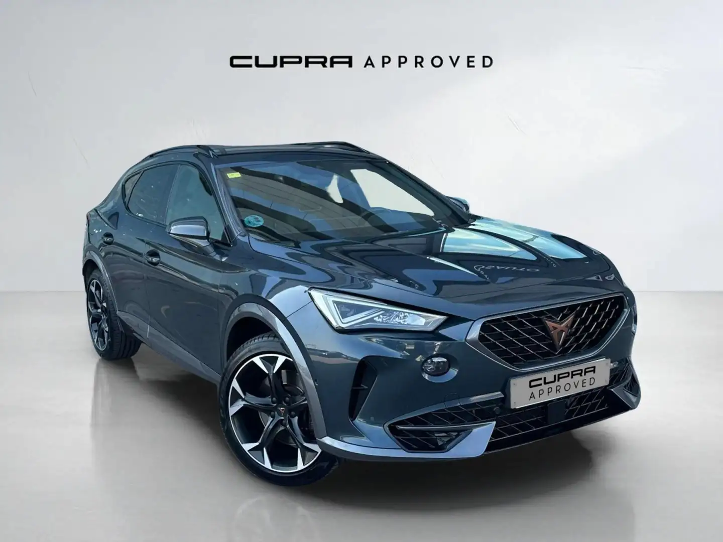 CUPRA Formentor 2.0 TSI 310 VZ DSG 4Drive Gris - 1