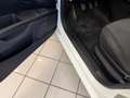 Fiat Punto 1.3 -MJT II 75 CV 5 porte Street ok neopatentati Bianco - thumbnail 8