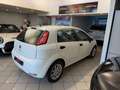 Fiat Punto 1.3 -MJT II 75 CV 5 porte Street ok neopatentati Bianco - thumbnail 13