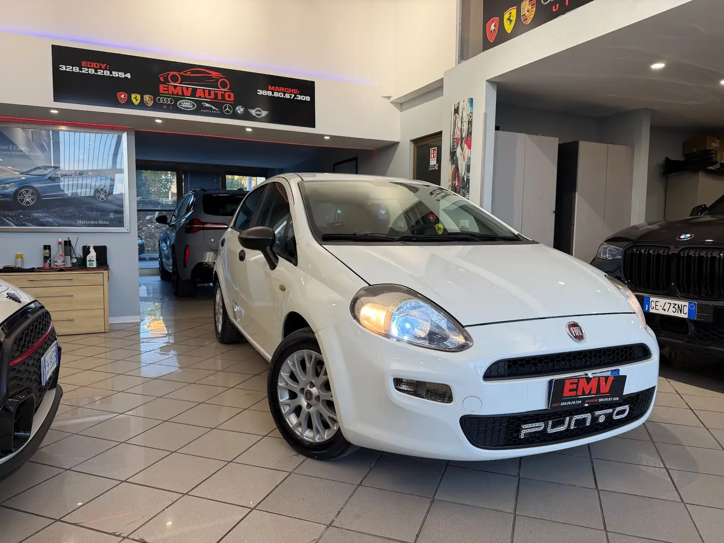 Fiat Punto 1.3 -MJT II 75 CV 5 porte Street ok neopatentati Bianco - 1