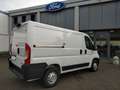 Opel Movano VAN 35 QLI 2.2 Tdci 140cv L1H1 Bianco - thumbnail 4