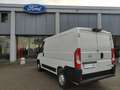 Opel Movano VAN 35 QLI 2.2 Tdci 140cv L1H1 Bianco - thumbnail 6