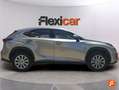 Lexus NX 300 300h Business 2WD Gris - thumbnail 3
