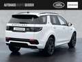 Land Rover Discovery Sport P250 R-Dynamic SE Automatik ACC Білий - thumbnail 2