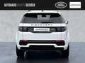 Land Rover Discovery Sport P250 R-Dynamic SE Automatik ACC Білий - thumbnail 8