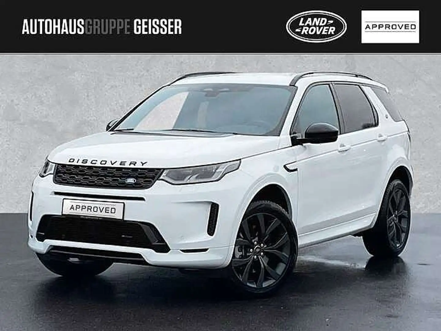 Land Rover Discovery Sport P250 R-Dynamic SE Automatik ACC Білий - 1