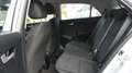 Kia Rio 1.4 Edition 7*Automatik*SHZ*PDC*Klimaauto* Grau - thumbnail 11