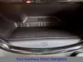 Ford Puma Titanium X ,Top Ausstattung,5J.Garantie Blau - thumbnail 20